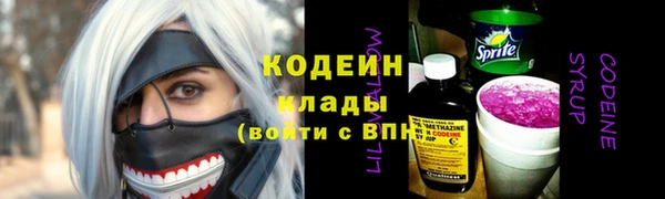 крисы Абаза