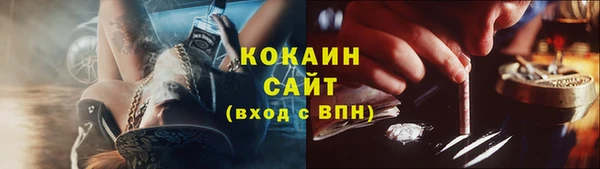 крисы Абаза