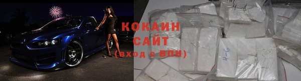 крисы Абаза