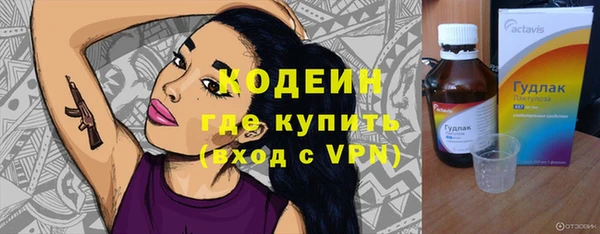 крисы Абаза
