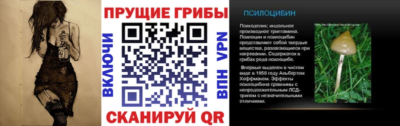 Псилоцибиновые грибы мицелий  блэк спрут вход  Соликамск 
